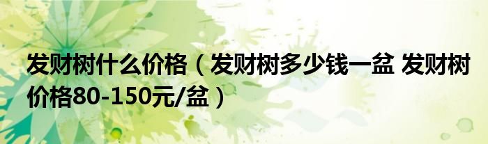 发财树什么价格(发财树多少钱一盆 发财树价格80-150元/盆)