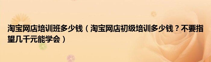 淘宝网店培训班多少钱(淘宝网店初级培训多少钱?不要指望几千元能学会)