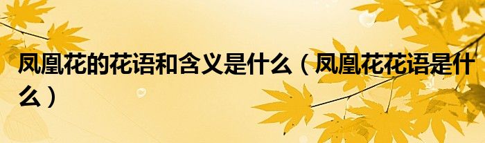 凤凰花的花语和含义是什么(凤凰花花语是什么)