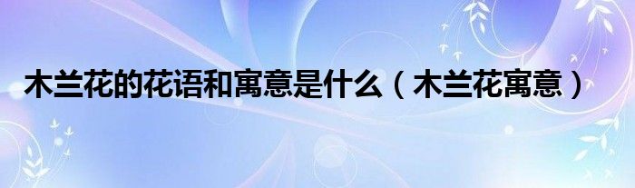 木兰花的花语和寓意是什么(木兰花寓意)