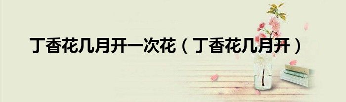 丁香花几月开一次花(丁香花几月开)