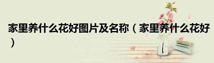 家里养什么花好图片及名称(家里养什么花好)