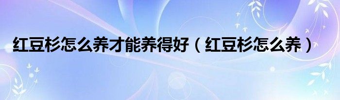 红豆杉怎么养才能养得好(红豆杉怎么养)