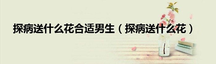 探病送什么花合适男生(探病送什么花)