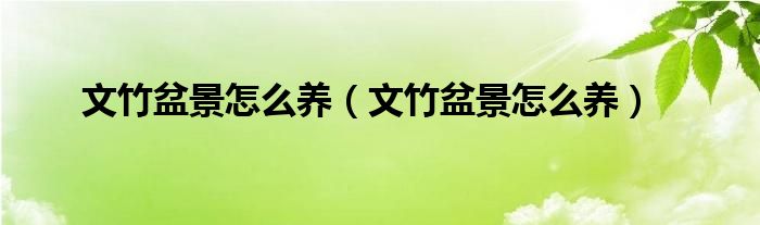 文竹盆景怎么养(文竹盆景怎么养)