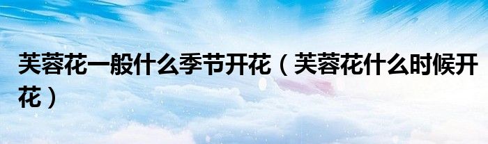 芙蓉花一般什么季节开花(芙蓉花什么时候开花)