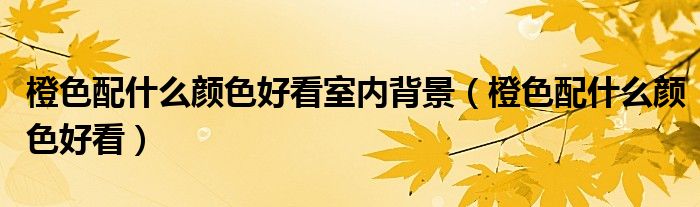橙色配什么颜色好看室内背景(橙色配什么颜色好看)