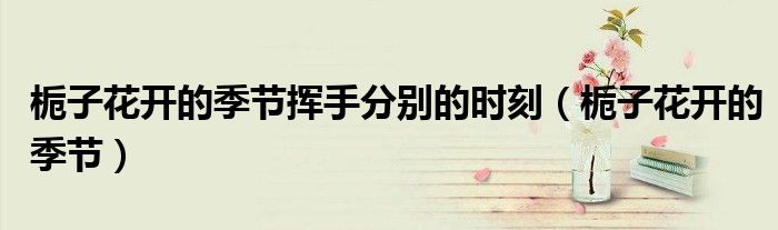 栀子花开的季节挥手分别的时刻(栀子花开的季节)