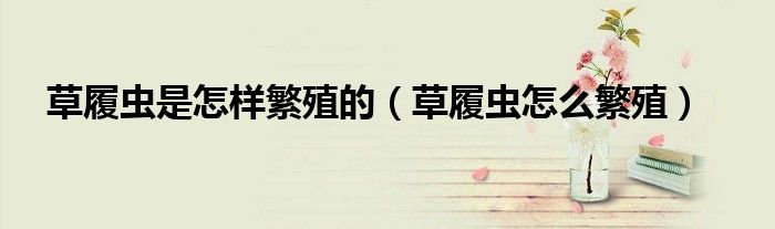 草履虫是怎样繁殖的(草履虫怎么繁殖)