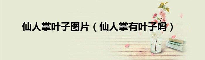 仙人掌叶子图片(仙人掌有叶子吗)
