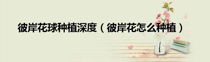 彼岸花球种植深度(彼岸花怎么种植)