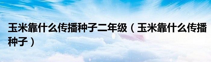 玉米靠什么传播种子二年级(玉米靠什么传播种子)