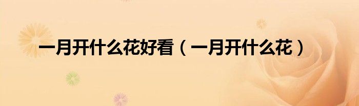 一月开什么花好看(一月开什么花)