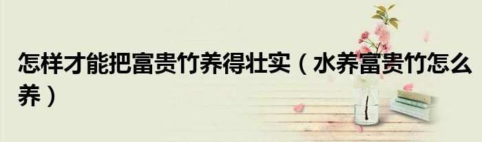 怎样才能把富贵竹养得壮实(水养富贵竹怎么养)