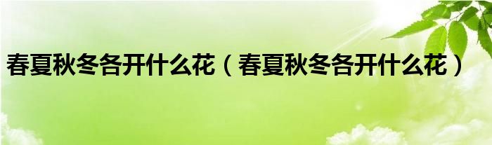 春夏秋冬各开什么花(春夏秋冬各开什么花)