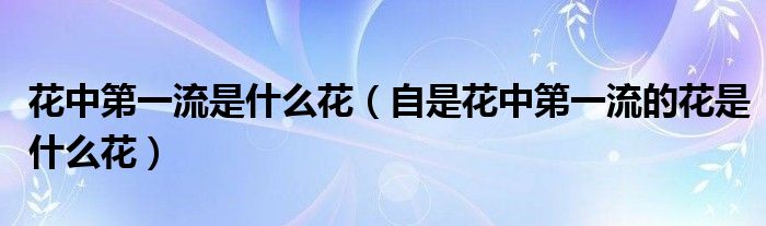 花中第一流是什么花(自是花中第一流的花是什么花)