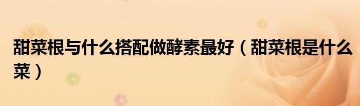 甜菜根与什么搭配做酵素最好(甜菜根是什么菜)