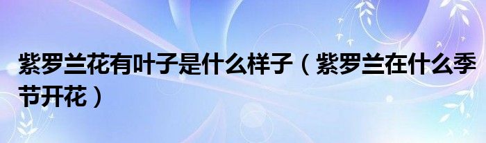 紫罗兰花有叶子是什么样子(紫罗兰在什么季节开花)