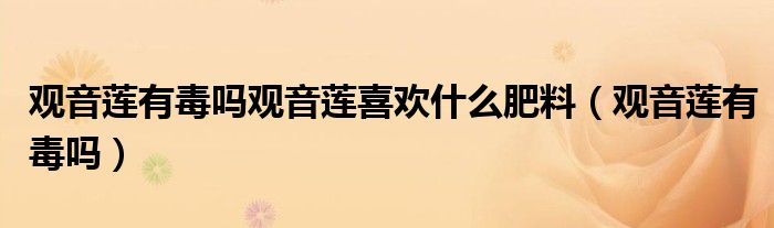 观音莲有毒吗观音莲喜欢什么肥料(观音莲有毒吗)