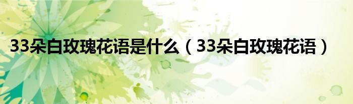 33朵白玫瑰花语是什么(33朵白玫瑰花语)