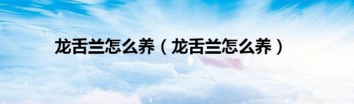 龙舌兰怎么养(龙舌兰怎么养)