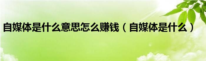 自媒体是什么意思怎么赚钱(自媒体是什么)