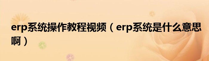 erp系统操作教程视频(erp系统是什么意思啊)