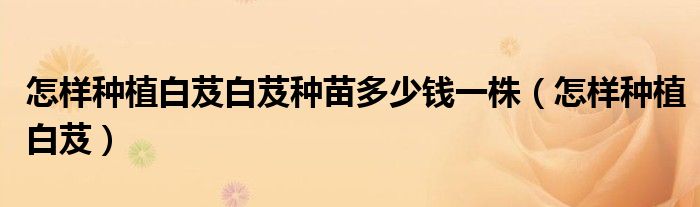 怎样种植白芨白芨种苗多少钱一株(怎样种植白芨)