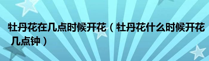 牡丹花在几点时候开花(牡丹花什么时候开花 几点钟)