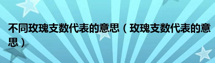 不同玫瑰支数代表的意思(玫瑰支数代表的意思)