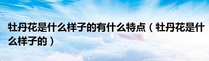 牡丹花是什么样子的有什么特点(牡丹花是什么样子的)