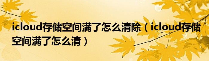 icloud存储空间满了怎么清除(icloud存储空间满了怎么清)