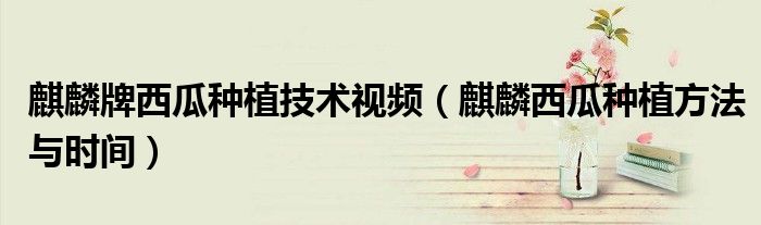 麒麟牌西瓜种植技术视频(麒麟西瓜种植方法与时间)