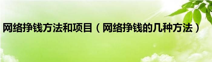 网络挣钱方法和项目(网络挣钱的几种方法)