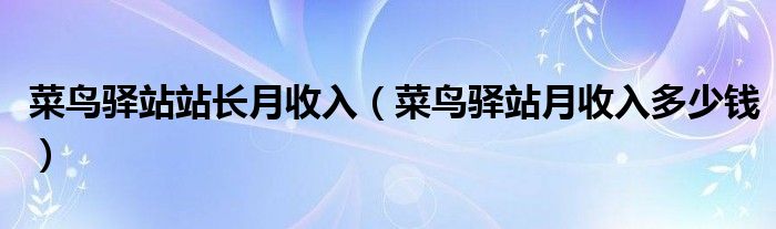 菜鸟驿站站长月收入(菜鸟驿站月收入多少钱)