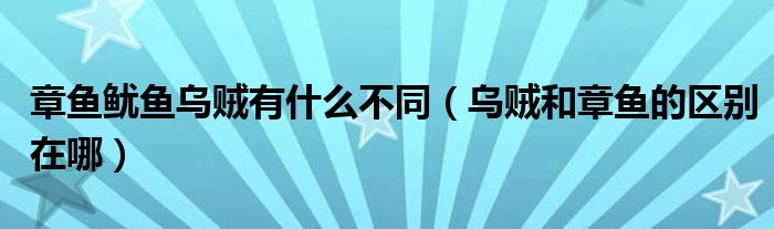 章鱼鱿鱼乌贼有什么不同(乌贼和章鱼的区别在哪)