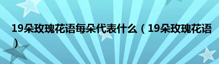 19朵玫瑰花语每朵代表什么(19朵玫瑰花语)