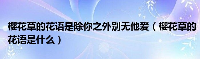 樱花草的花语是除你之外别无他爱(樱花草的花语是什么)