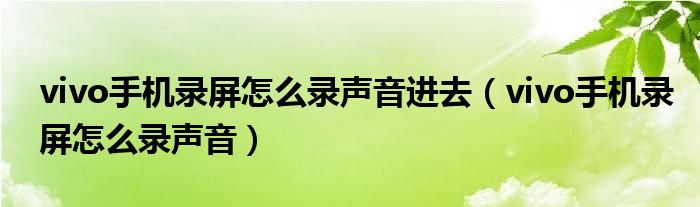 vivo手机录屏怎么录声音进去(vivo手机录屏怎么录声音)