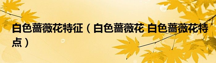 白色蔷薇花特征(白色蔷薇花 白色蔷薇花特点)