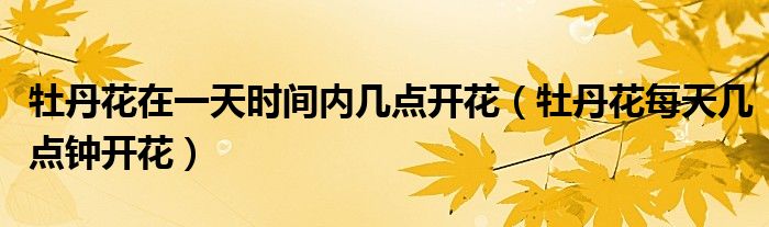 牡丹花在一天时间内几点开花（牡丹花每天几点钟开花）