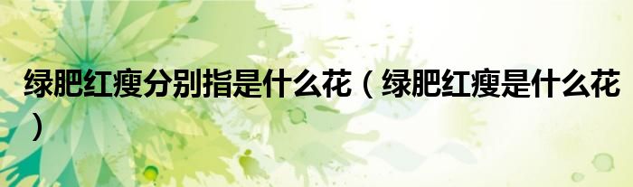 绿肥红瘦分别指是什么花（绿肥红瘦是什么花）