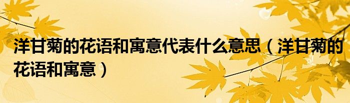 洋甘菊的花语和寓意代表什么意思(洋甘菊的花语和寓意)