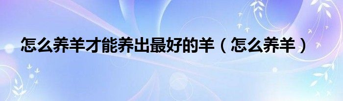 怎么养羊才能养出最好的羊（怎么养羊）