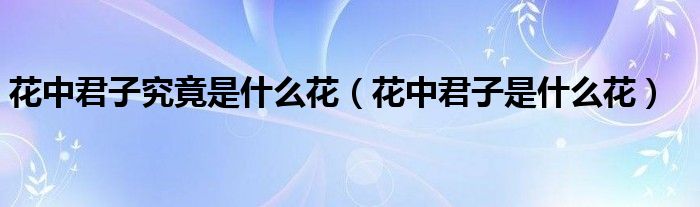 花中君子究竟是什么花(花中君子是什么花)