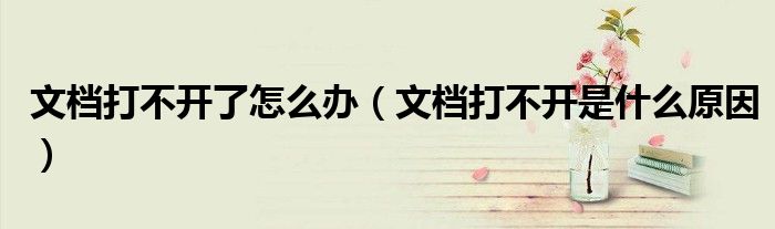文档打不开了怎么办(文档打不开是什么原因)