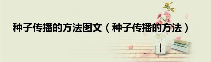 种子传播的方法图文（种子传播的方法）