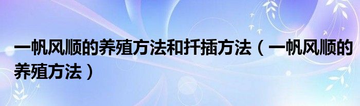 一帆风顺的养殖方法和扦插方法(一帆风顺的养殖方法)