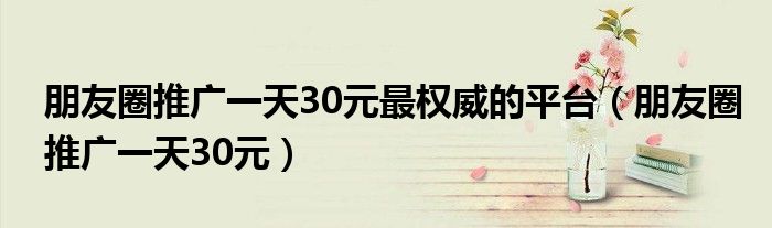 朋友圈推广一天30元最权威的平台(朋友圈推广一天30元)