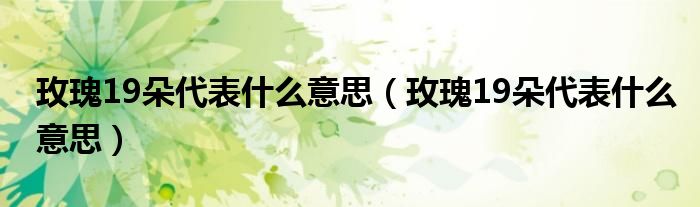 玫瑰19朵代表什么意思(玫瑰19朵代表什么意思)